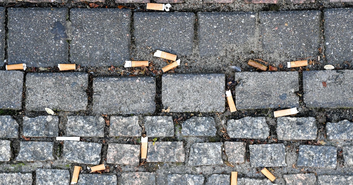 Hefty fines: cigarette butts will cost €250 in the future