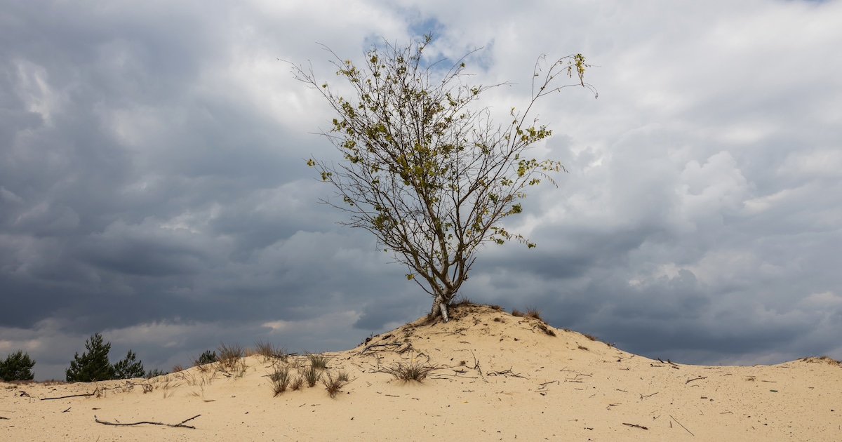 Meteorologist sounds the alarm: Worrying weather forecast for May
