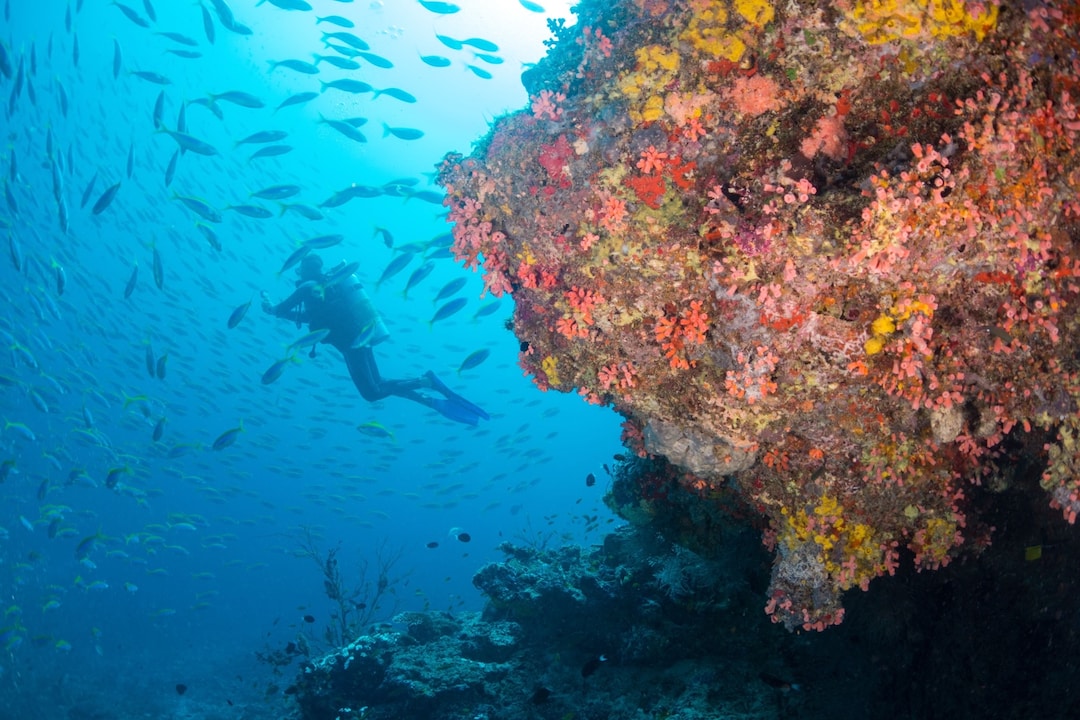El fascinante arrecife de Milaidhoo en el atolón de Baa.