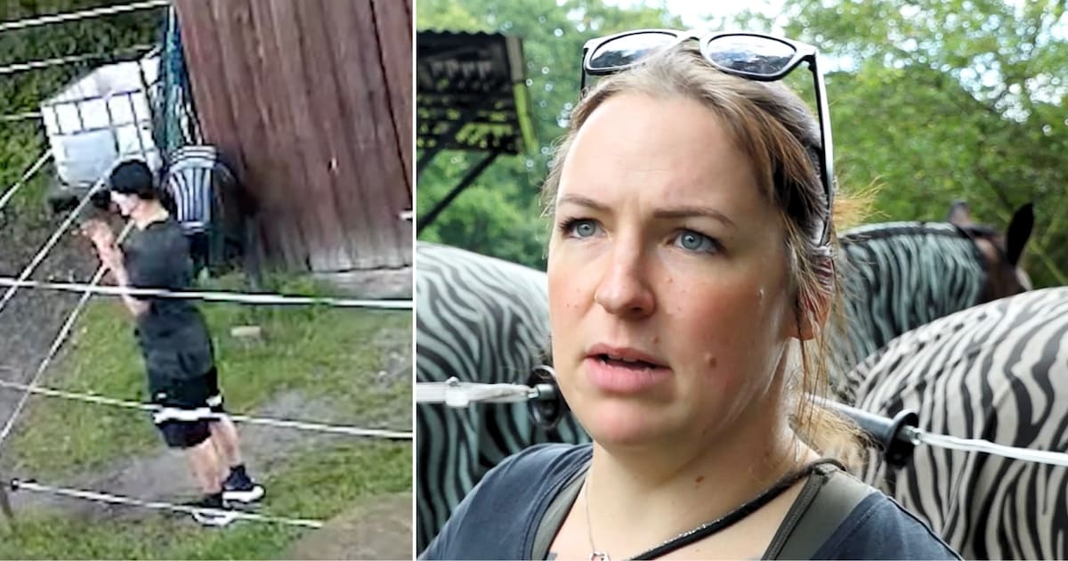 Owner catches horse abuser in her paddock – police let him go