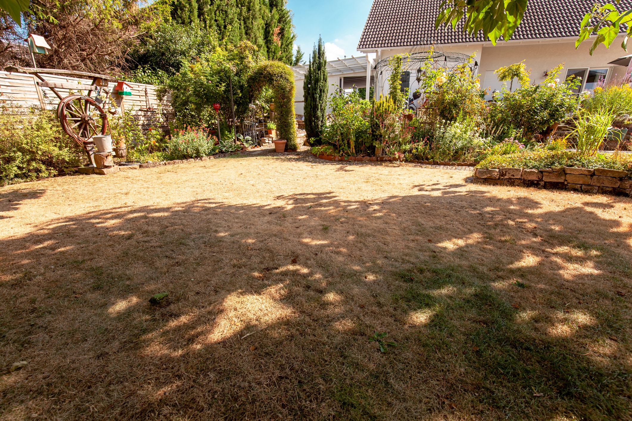 Wenn der Regen ausbleibt, hat das mehrere direkte und indirekte Auswirkungen auf den Garten.