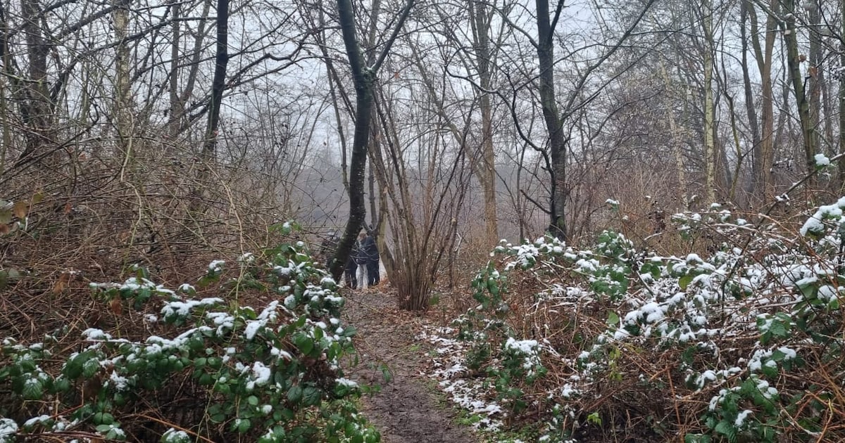 Yosef (14) was killed with a knife - | Investigators speak of