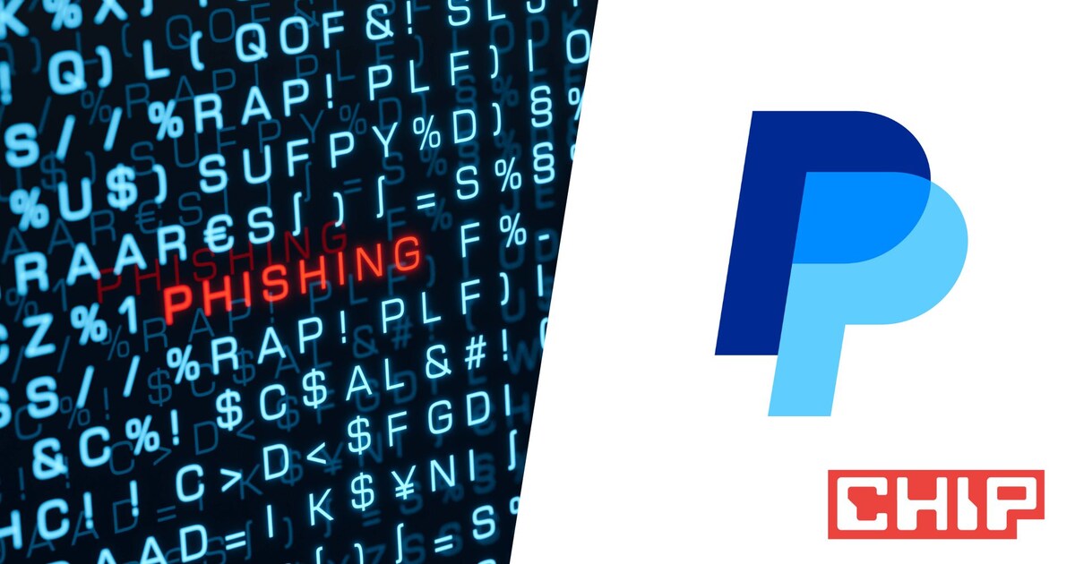 Warnung vor neuem PayPal-Betrug: Ein kleiner Fehler kann jetzt richtig ...