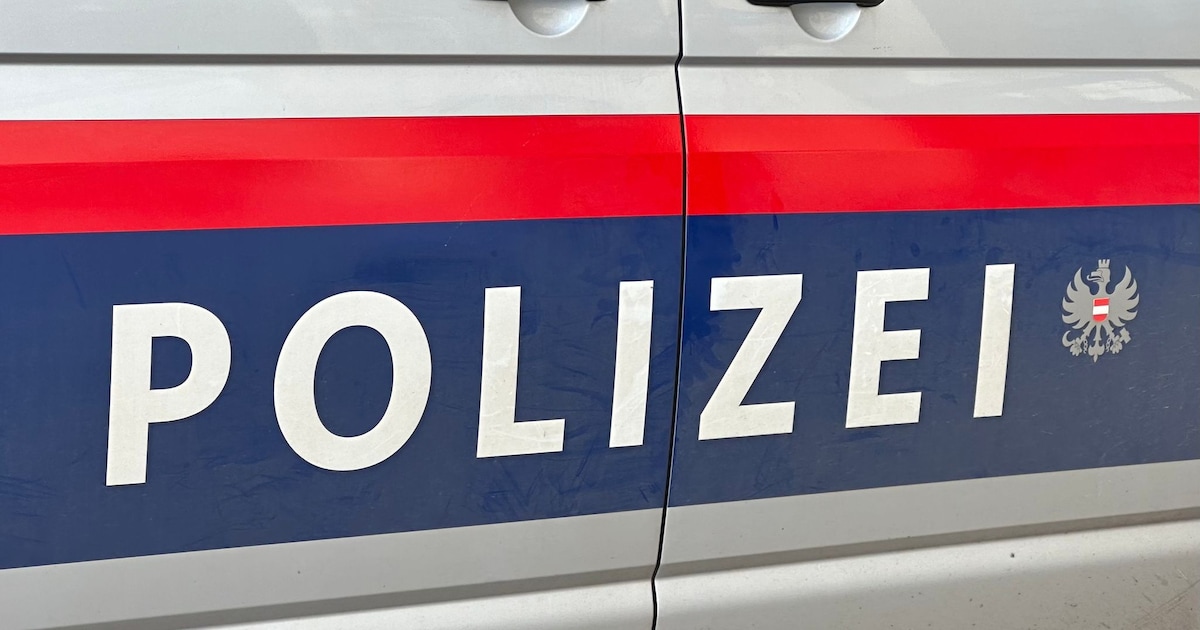 Mother accidentally runs over daughter (1) in Austria
