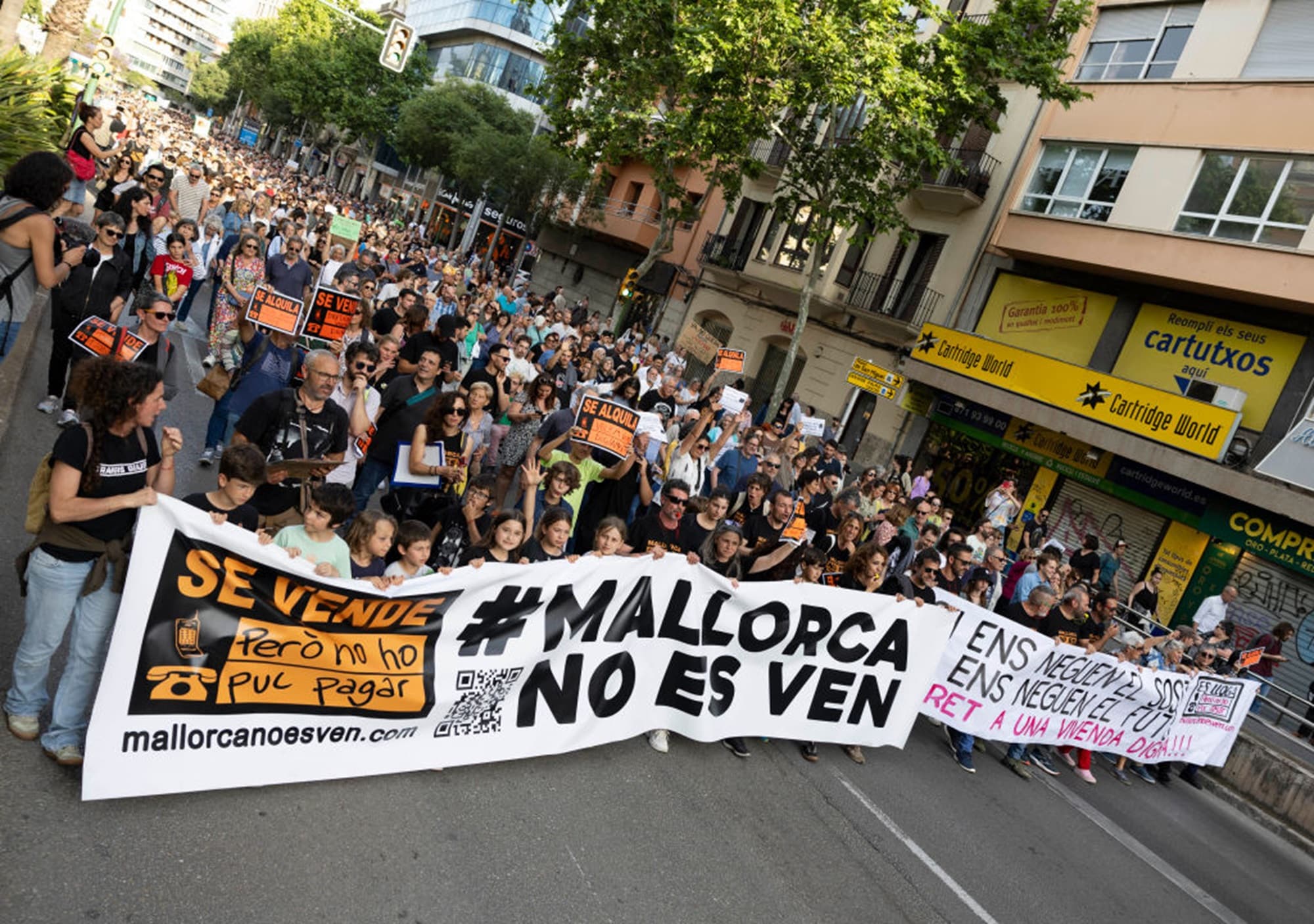 Maiorca