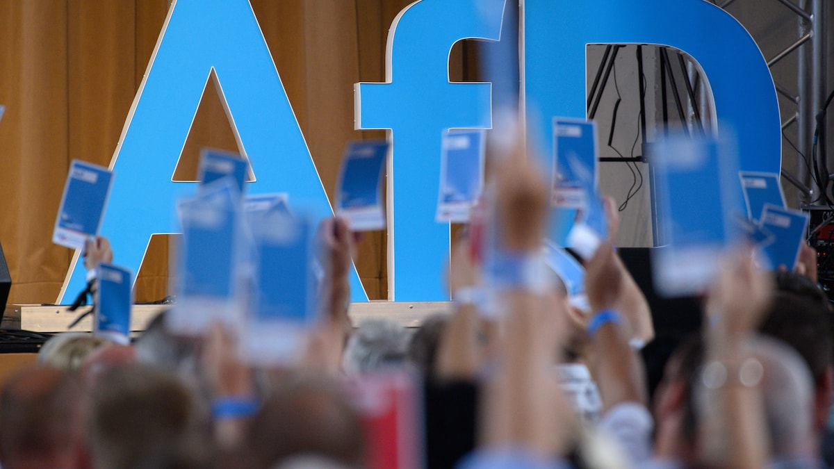 AfD-Landesparteitag in Magdeburg