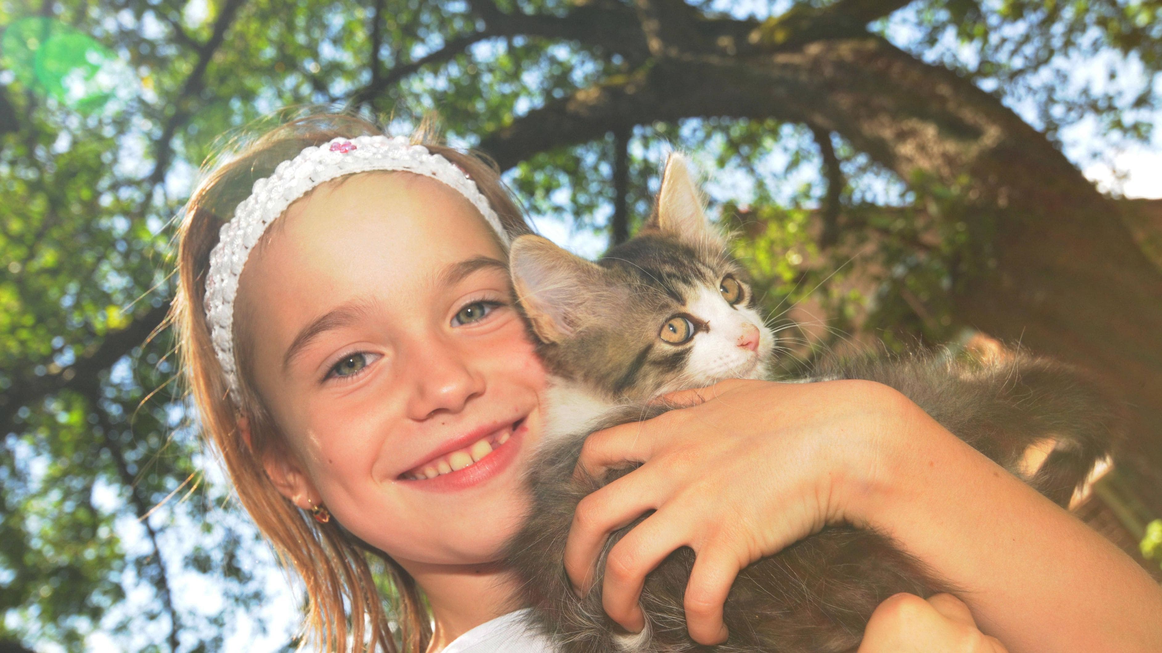 "Cat Distribution System" beschreibt ein Internetphänomen. Es wird scherzhaft davon ausgegangen, dass plötzlich zugelaufene Katzen über ein "Katzenverteilungssystem" zum Menschen kommen. Steckt hinter der magischen Begegnung bloß der Zufall – oder schickt Ihnen das Universum genau die Katze, die Sie gerade brauchen? … <a href="https://praxistipps.focus.de/cat-distribution-system-das-steckt-hinter-dem-trend-begriff_188991"> ... mehr</a>