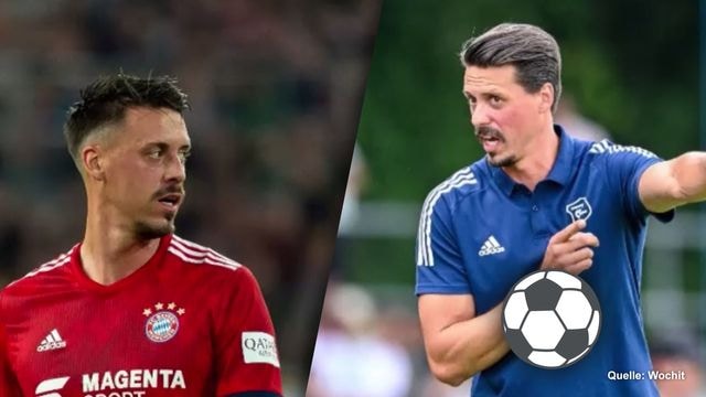 Sandro Wagner: Club, successi, moglie, figli