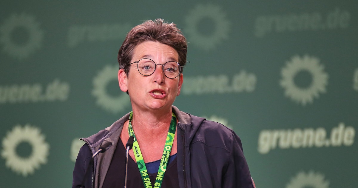 Grüne bringen in Kiel Antrag nur dank AfD-Stimme durch: