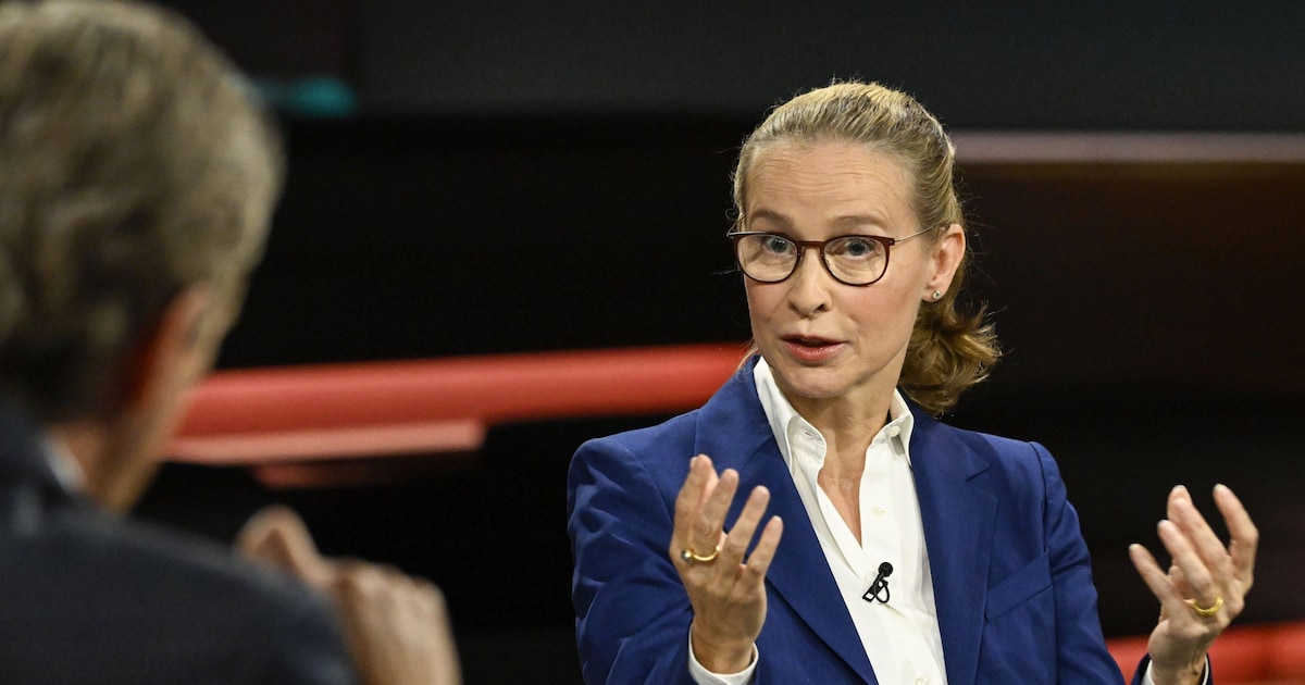 Brandmauer und hart-linke Richterin: Merz steckt in einem heiklen ...