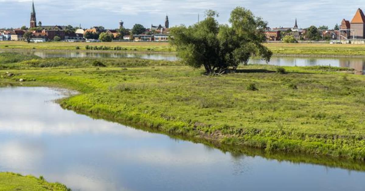 No more guests because of the AfD: Brandenburg guesthouse sends out a ...