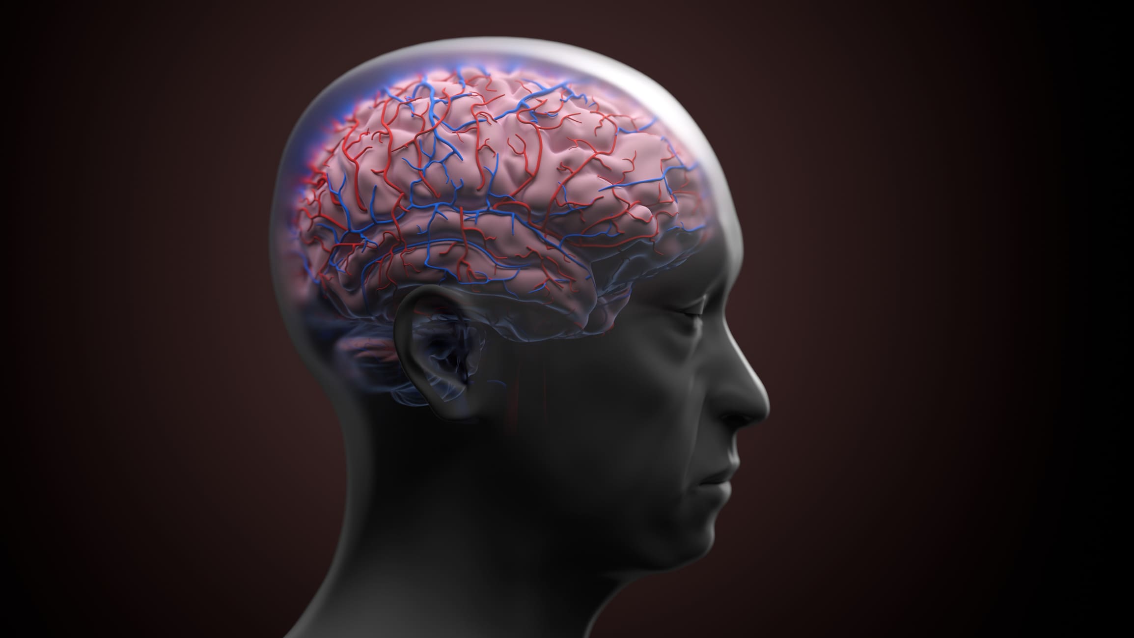 Ein Forschungsteam hat eine neue Alzheimer-Therapie getestet: Bei Mäusen verschwanden Gedächtnisverlust und Eiweißablagerungen im Gehirn vollständig.