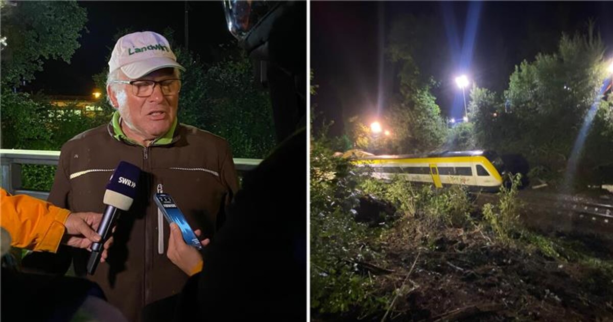 “My son discovered the train”: Farmer talks about fatal accident on his ...