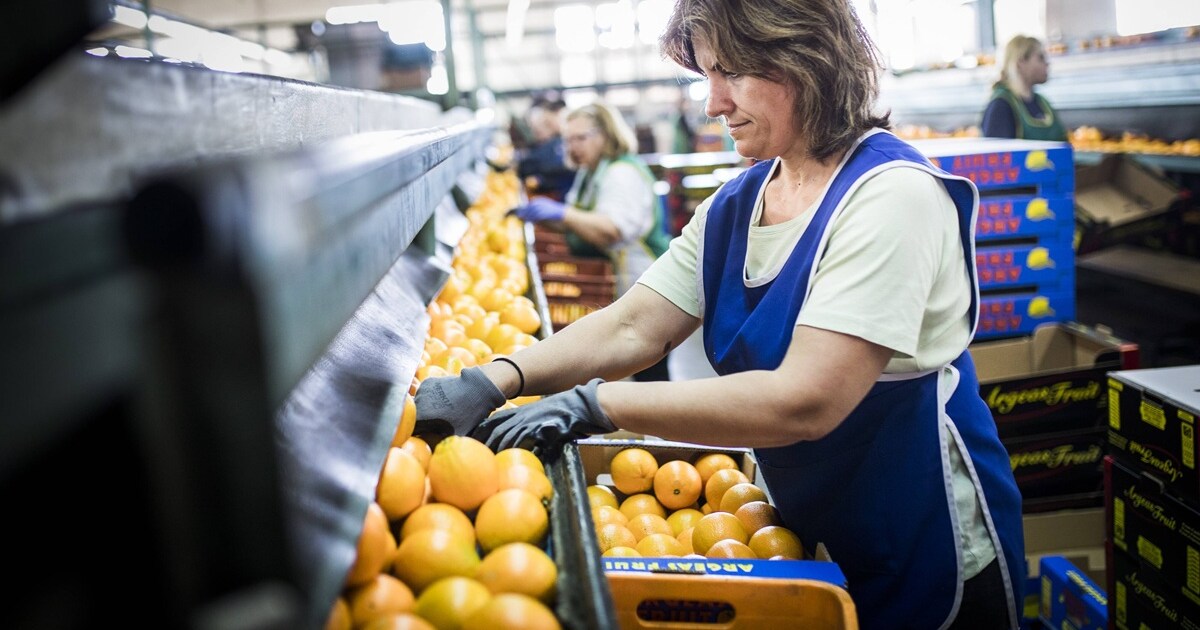 Working 13 hours a day: Greece is demonstrating what would be unthinkable ...