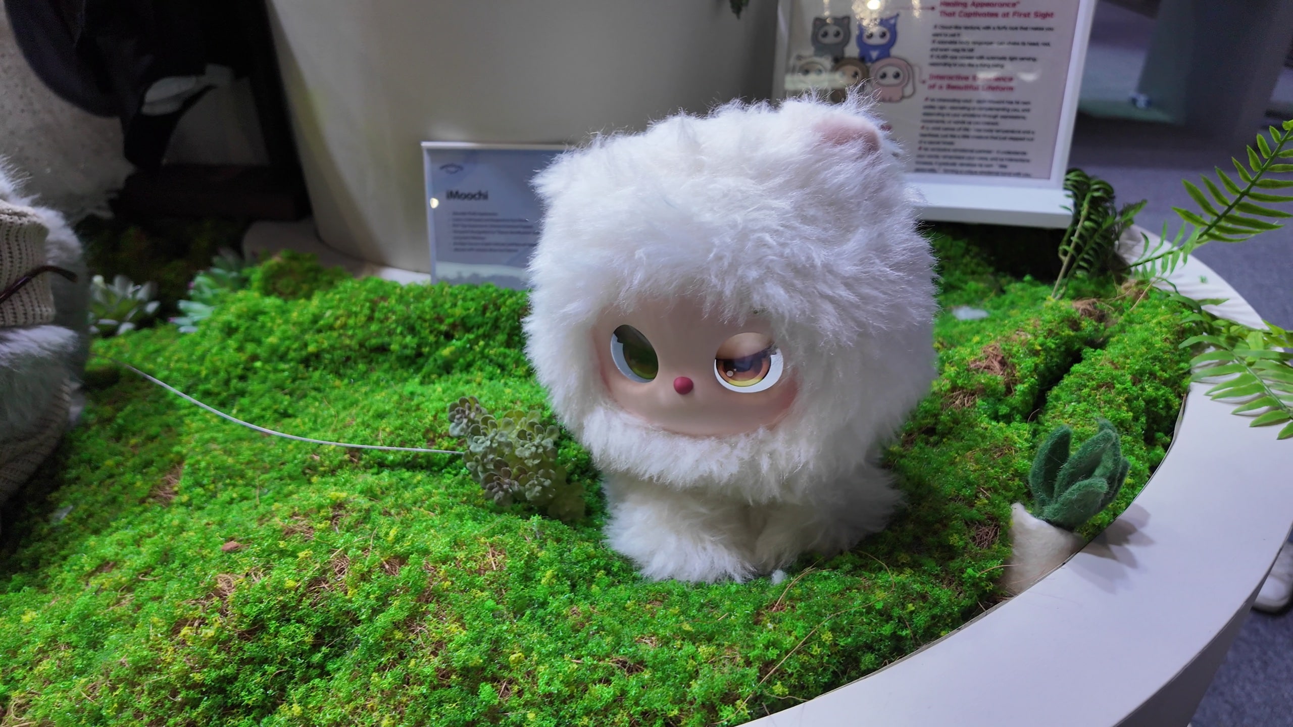 The iMoochis at the MWC in Barcelona