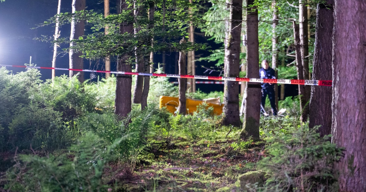 Flugzeug stürzt bei Neumünster in Wald - Pilot tot