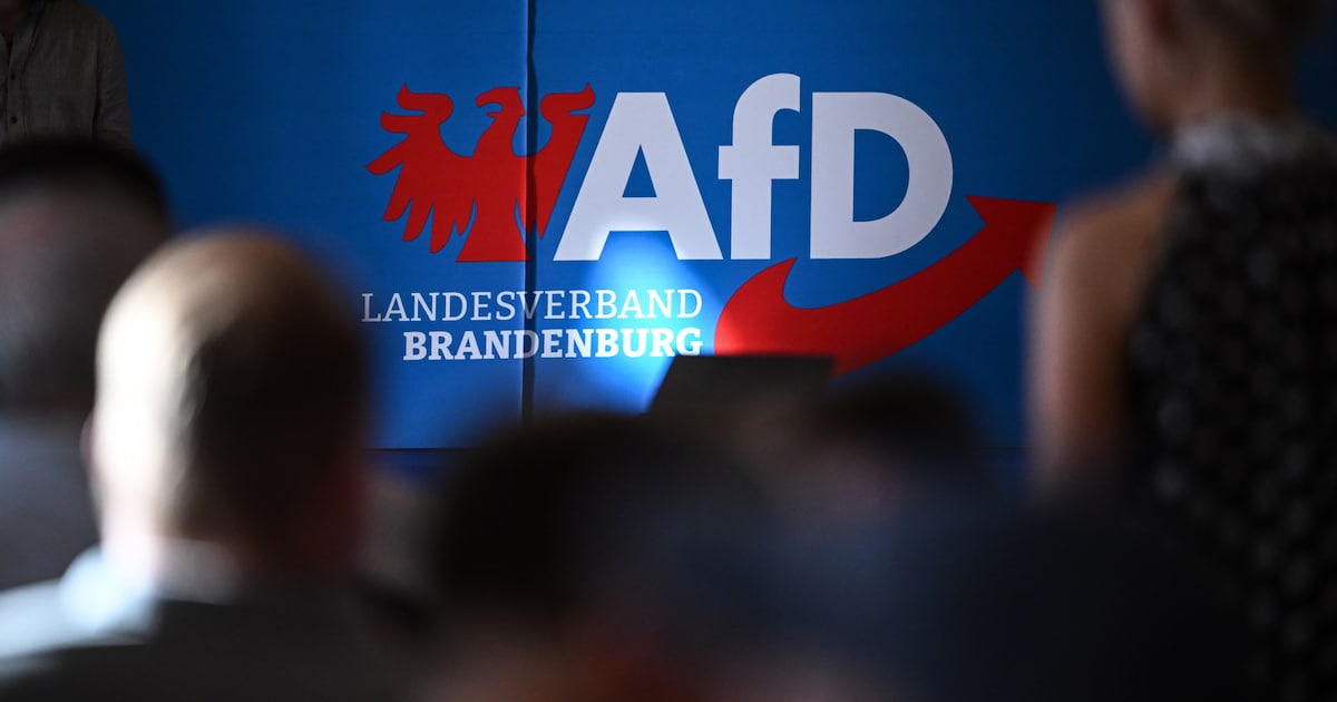Neuer AfD-Abgeordneter Teske stellt Ex-Neonazi und Szene-Vordenker ein