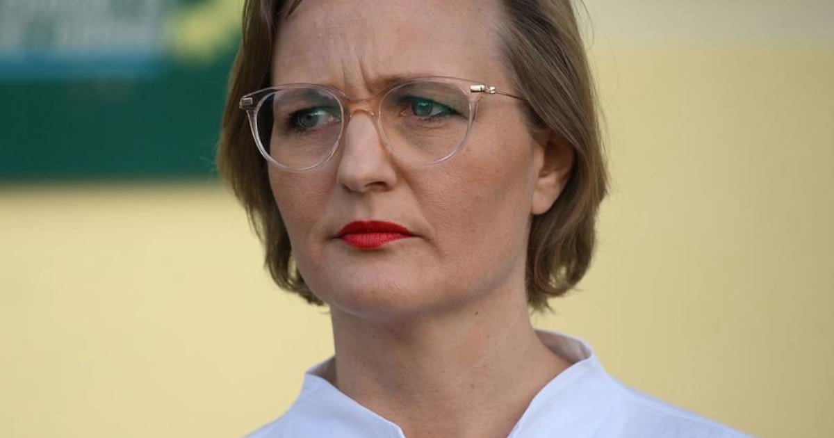 Was ist nur in die Grünen gefahren? Sie tun alles, um noch mehr Wähler zu ...