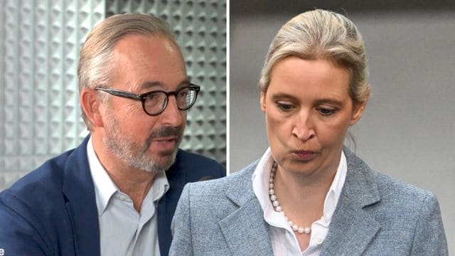 "Anzeigenhauptmeisterin" Alice Weidel ist die größte Mimose von allen