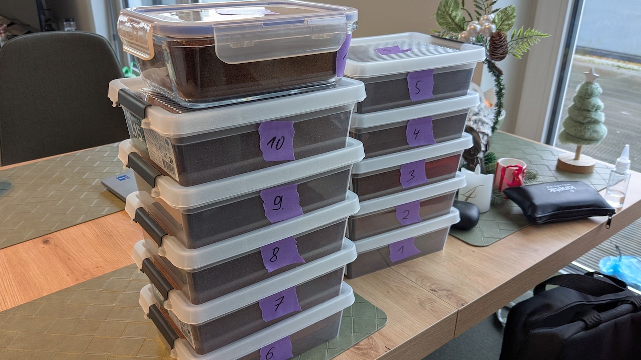Elf nummerierte Plastik- und Glasboxen, mit Kaffee gefüllt.
