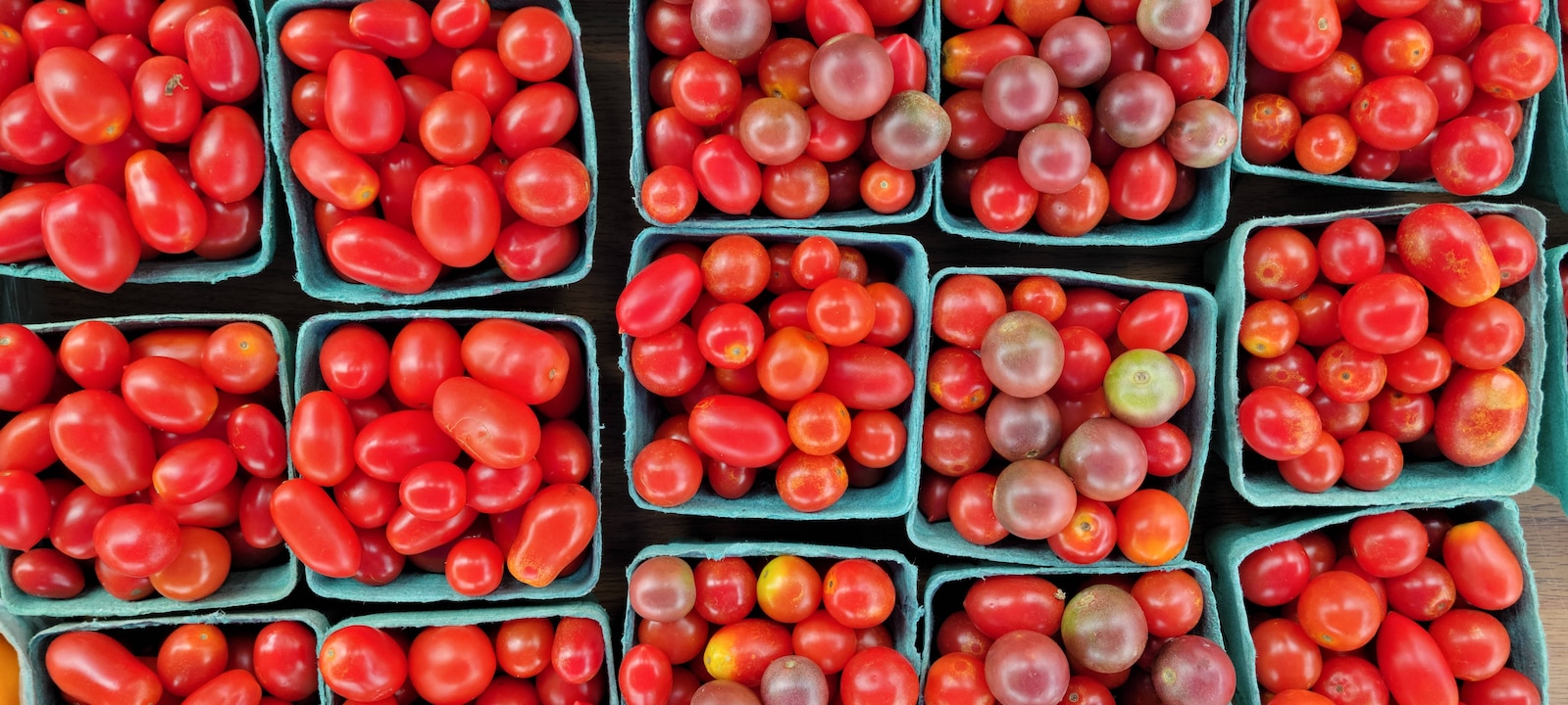 Vegan diets make a noticeable difference, especially in high-income countries like Germany.