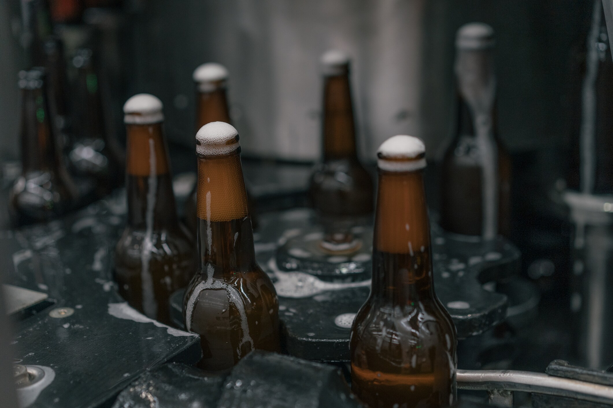 Bier