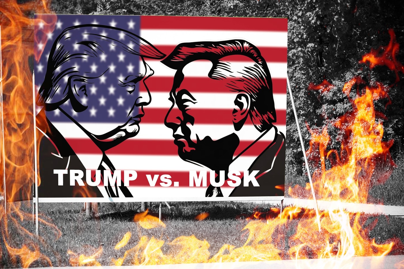 Amerika Partisi